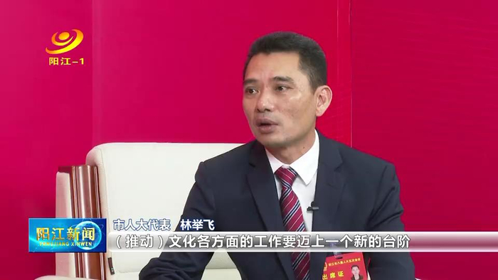 阳江市人大代表认真学习贯彻市两会精神
