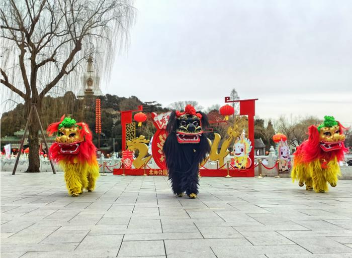 大年初一至初五北海首次上演非遺舞獅表演