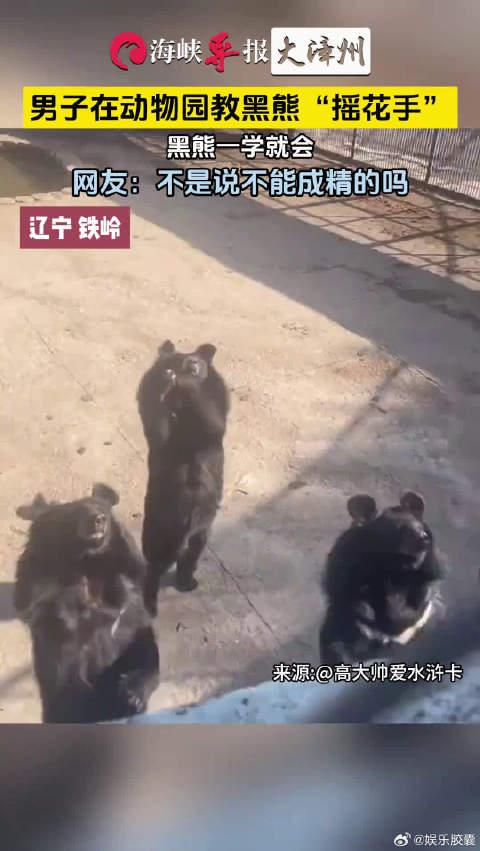 男子在動物園教黑熊搖花手結果