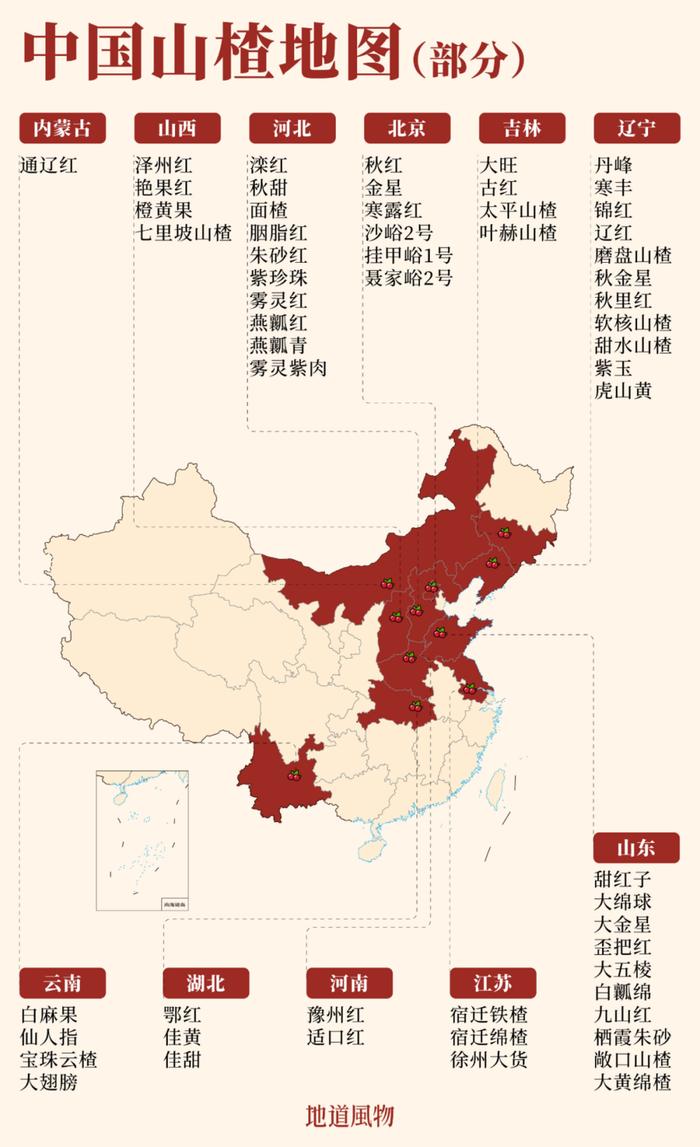 中国山楂五大产地图片