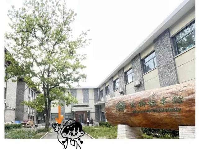 △北京大学生物标本馆