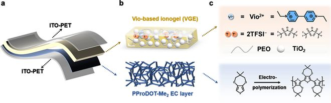 （来源：Advanced Functional Materials）