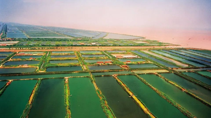 【地理探究】鱼塘—台田模式与基塘农业,你清楚异同吗?