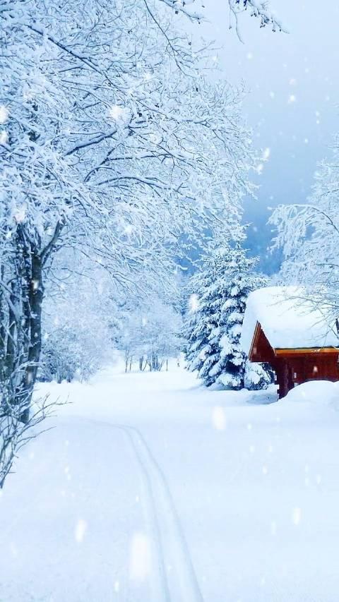 飘雪图片真实 风景图片