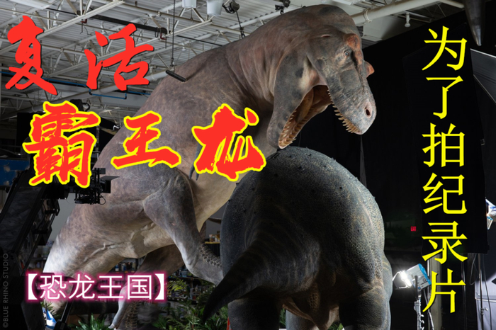 为拍纪录片搞个活生生的霸王龙