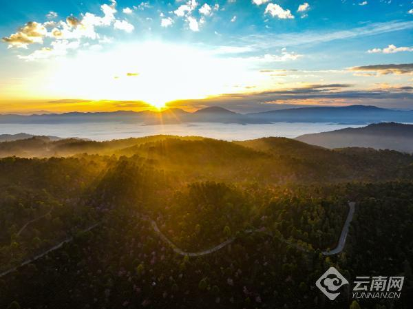 高清组图普洱澜沧你不能错过的景迈山之旅