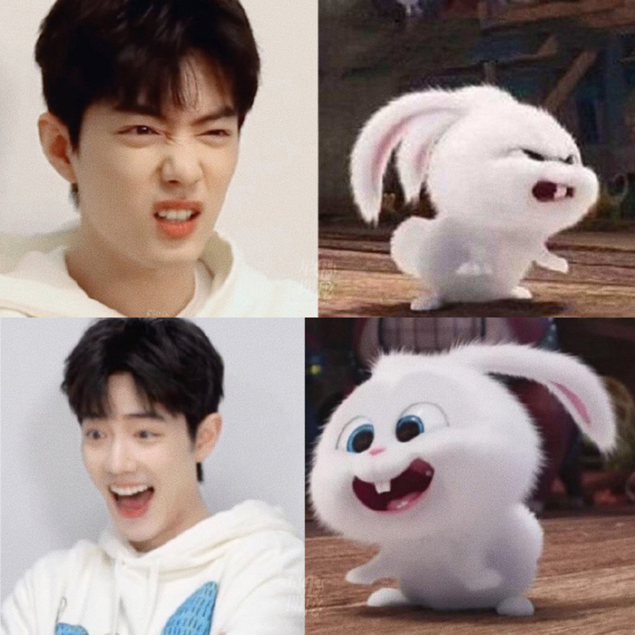 顶流|肖战_新浪新闻