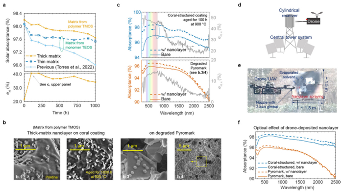 （来源：Nature Communications）