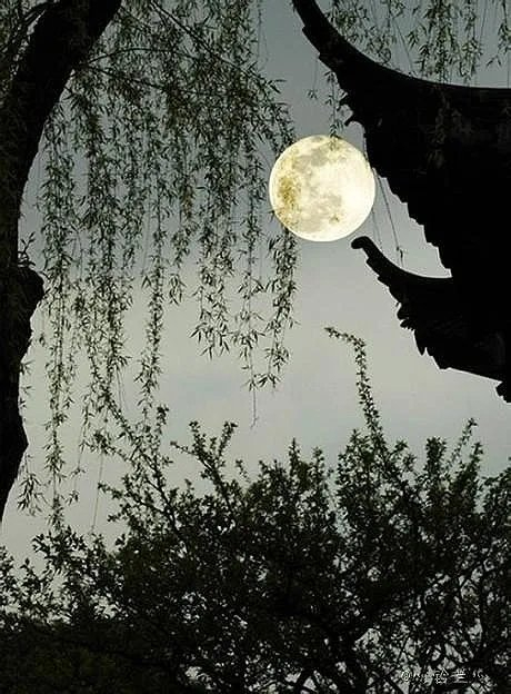 夜月一帘幽梦,春风十里柔情……|夜月|一帘幽梦|柔情