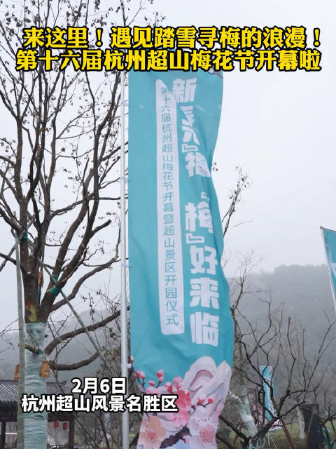 第十六届杭州超山梅花节开幕啦