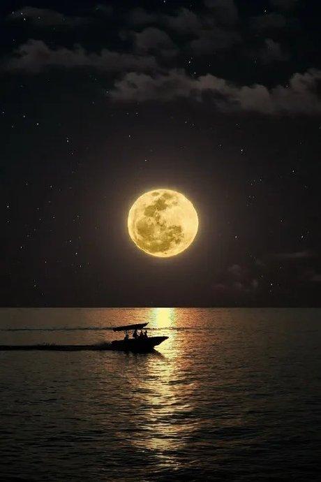夜月一帘图片