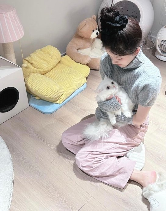 精选女头|赵露思|猫_新浪新闻