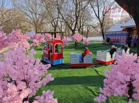 玉渊潭公园雪地“赏樱”小火车