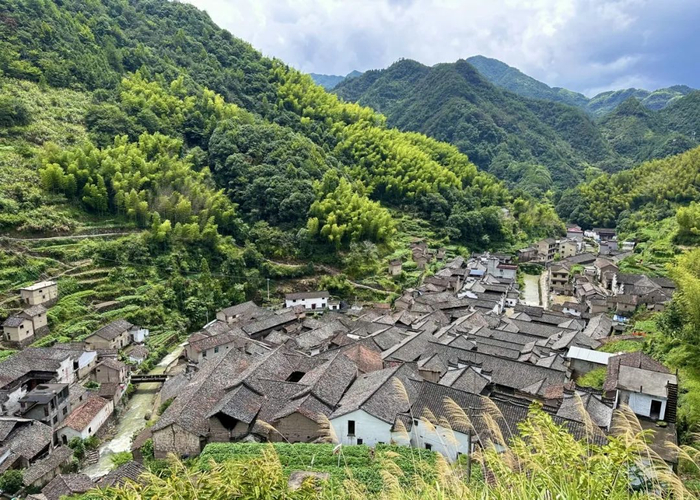 有一种完美山居叫山下鲍