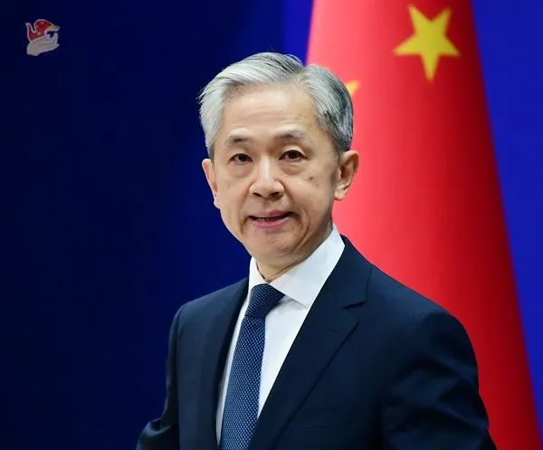 汪文斌(资料图)图源:外交部网站