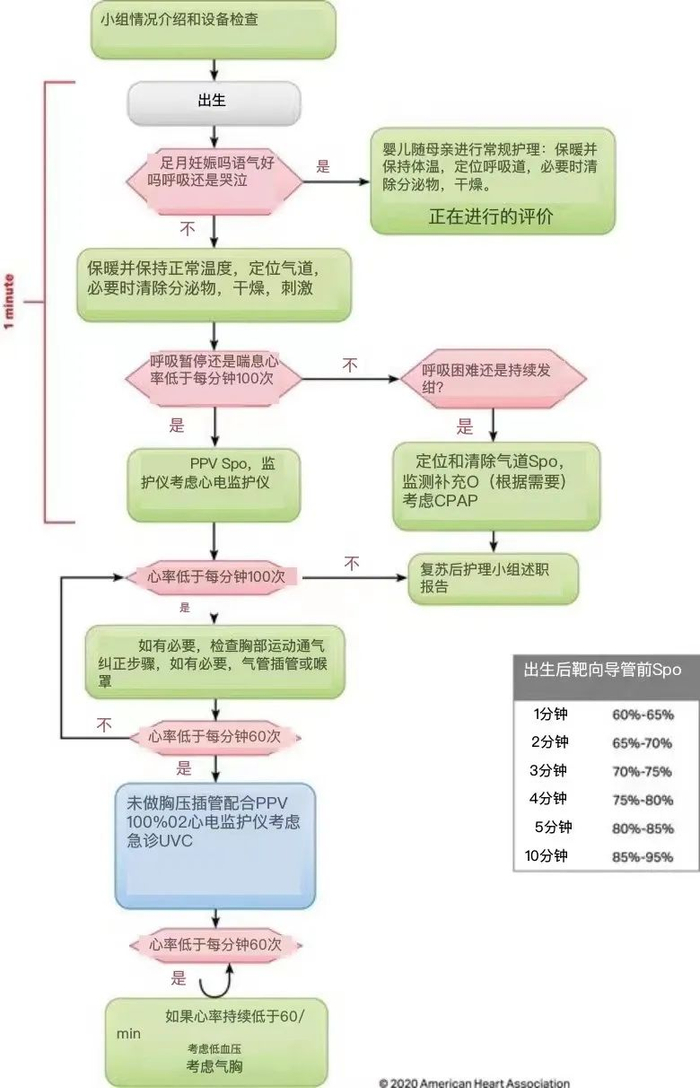 图2.新生儿复苏流程