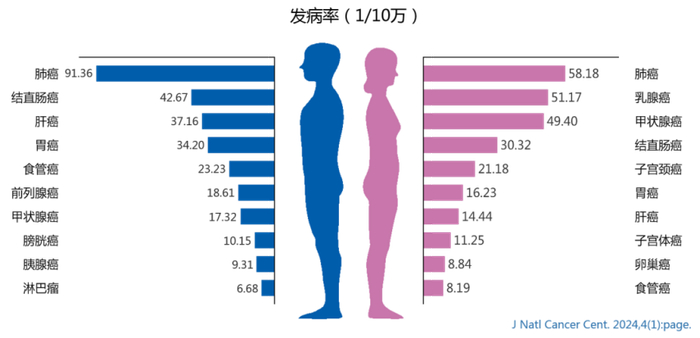 图1：两性癌症发病率