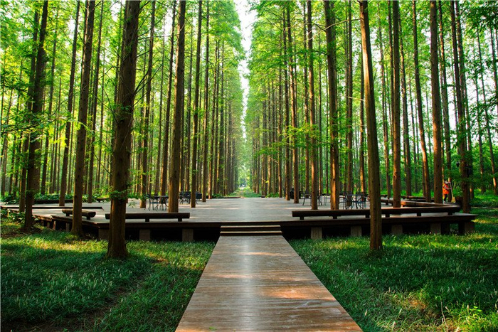 森林步道可以为公众提供接触自然的机会,促进生态旅游的发展,提供健身
