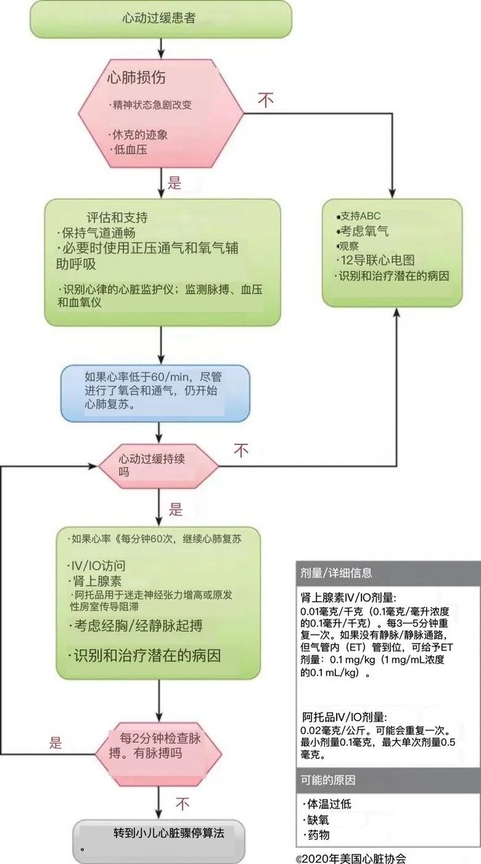 图3.小儿心动过缓复苏流程