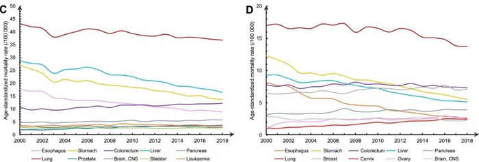 图6：男性（左）和女性（右）癌症死亡趋势