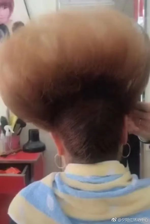 霍思燕自曝烫头照,网友:过年可千万别随便烫头啊,哈哈