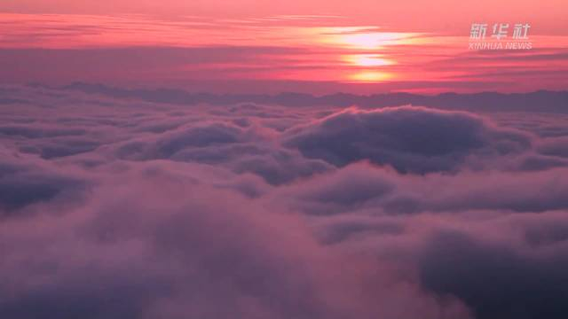 云南大围山粉色云海美如画