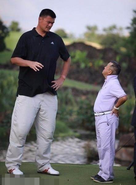 娱乐明星与姚明合影,如何才能显得合衬?__财经头条