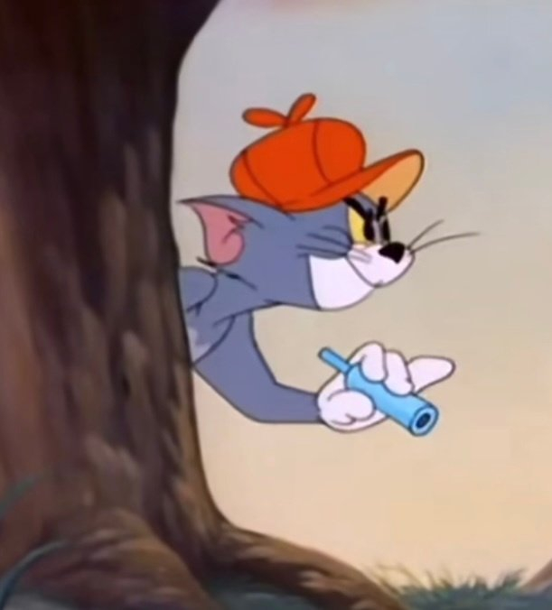 猫和老鼠表情包|猫和老鼠_新浪新闻