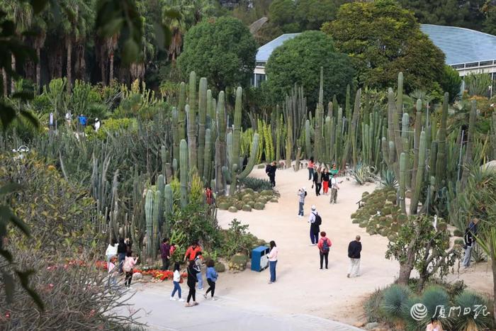 厦门园林植物园正式升级为国家5a级