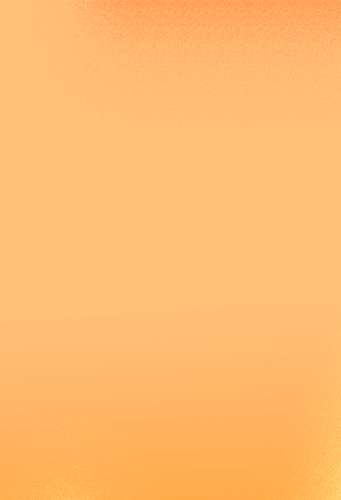 新春花卉销售忙花香四溢喜迎春