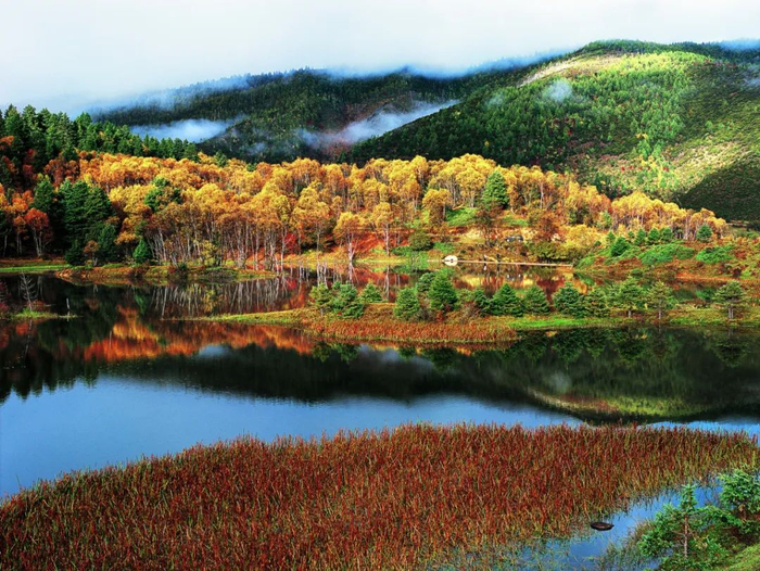 图源：“世界De香格里拉”微信公众号