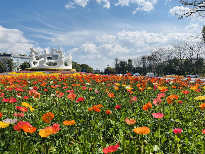 春城花都七彩云花浪漫飘香