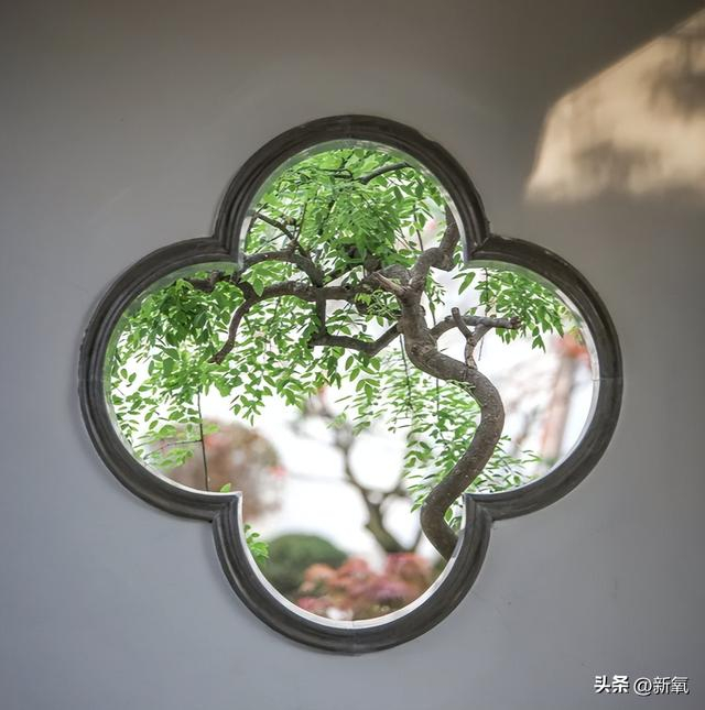 如拙政园内这处著名的借景花窗,就把远处的北寺塔借了过来,「瑶台玄圃