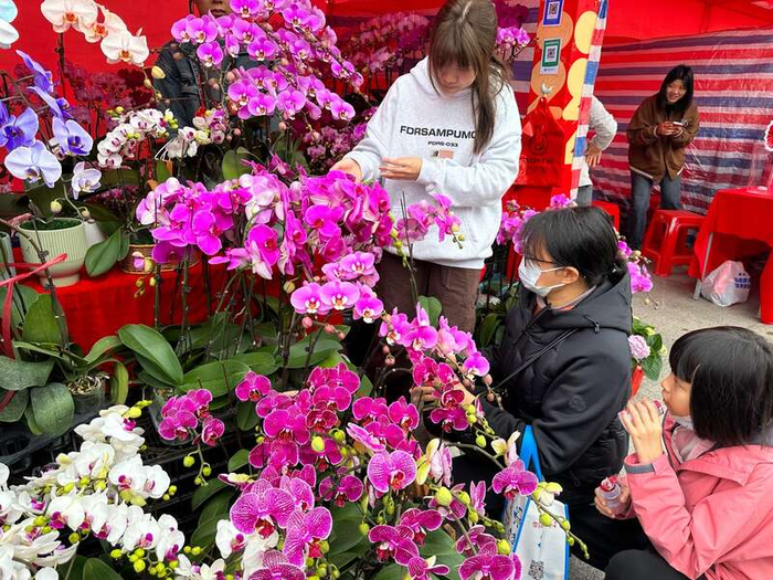 在广州"行花街",感受家门口浓浓"年味"