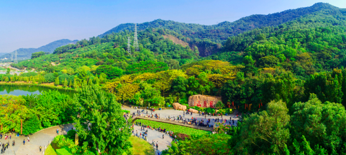 凤凰山森林公园2024年春节管理通告|春节|除夕|公交_新浪新闻