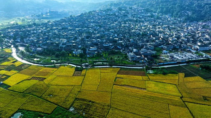 图源：保山日报客户端