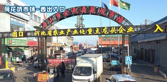 杨军调研城建工程及为民办实事项目