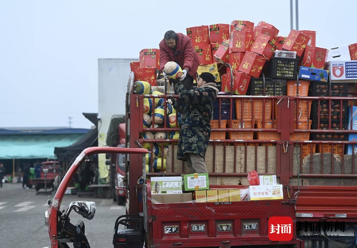 商户们忙着搬运,整理货物交易中心:已进入销量高峰期蔬菜水果每日销量