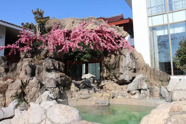 森林温泉东海森林温泉温泉也是闻名全国东海除了水晶享誉中外东海小松