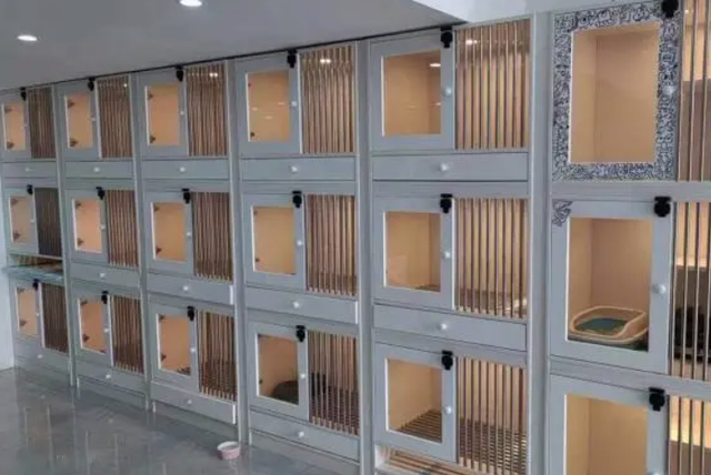 节前宠物寄养火热消保委寄养机构应做好服务质量加法