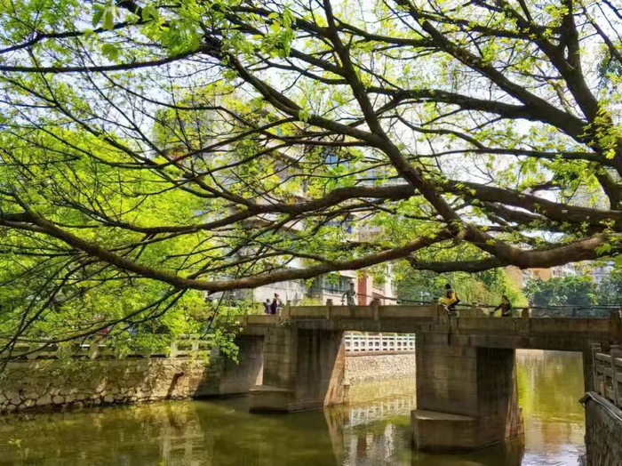 千年花洲:花间才俊,深刻地影响了中国艺术|岭南_新浪