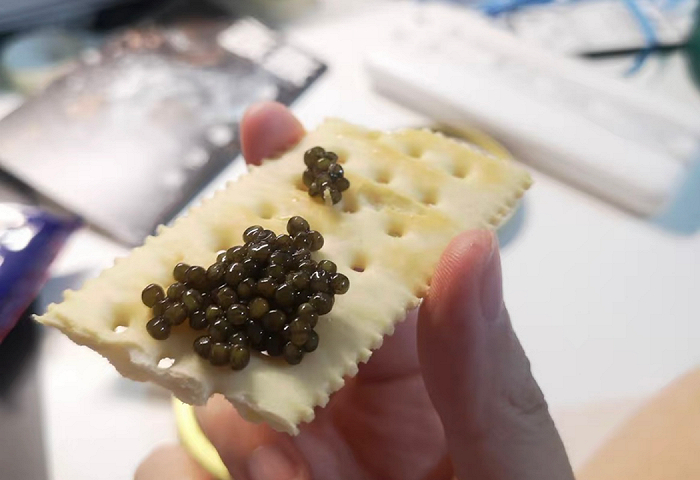 *小叶买到的雅安鱼子酱