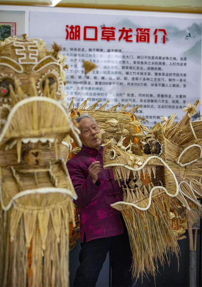 江西湖口:赶制草龙迎新春|非物质文化遗产|江西省
