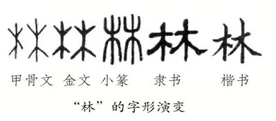 例如"燚"(yì)由四个"火"组成.咱们不妨从"龘"看同体合体字的应用.