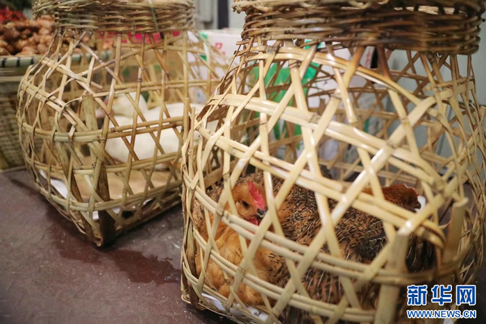 2月2日，“慢火车”年货街上售卖的家禽。图源：新华网（杨紫轩 摄）