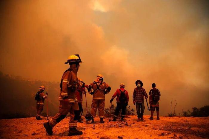 3·13智利森林火灾图片