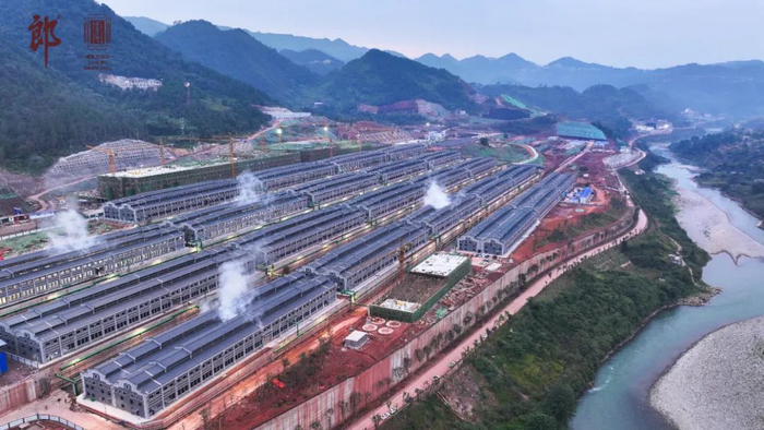 【事件提要】10月23日,郎酒在重阳下沙大典上宣布,设计酱酒产能30987