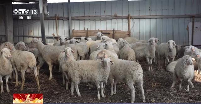 走进河北万全庄