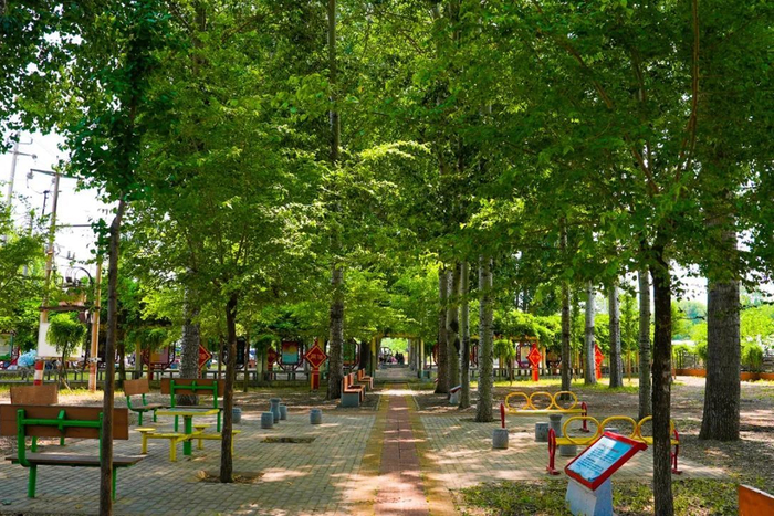 目前，全区每个村庄都有1处以上公共休闲绿地。（资料图）