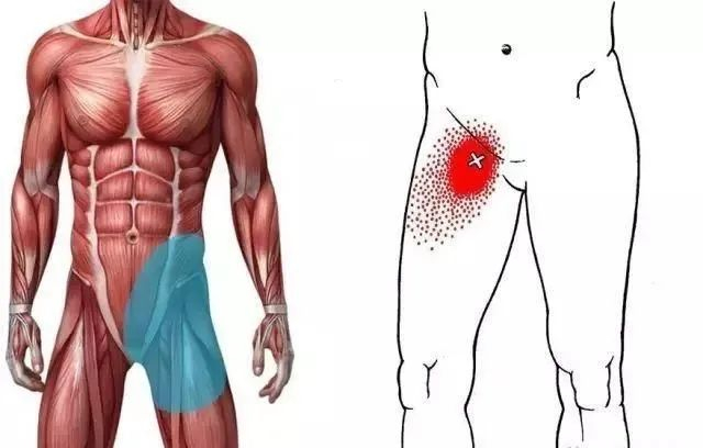 收缩,加速,减速的过程中产生的肌肉损失(跑步或踢腿,变向);2